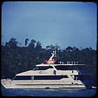 MV Addiction, Mentawai.jpg