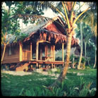 Kingfisher Resort Mentawai.jpg